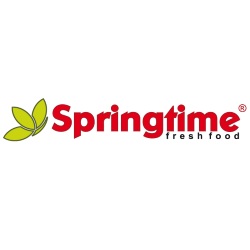 Logo Springtime